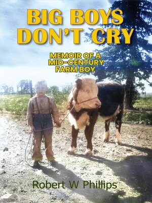 cover image of Big Boys Don't Cry